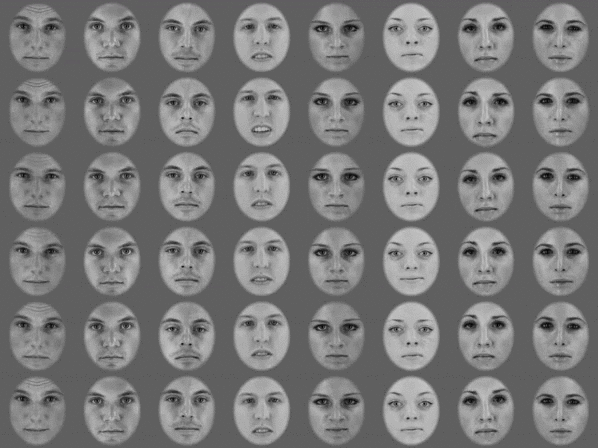 Demonstration of facial expression stimuli